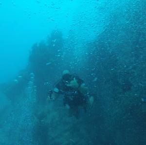 Meet your Posher, Joe